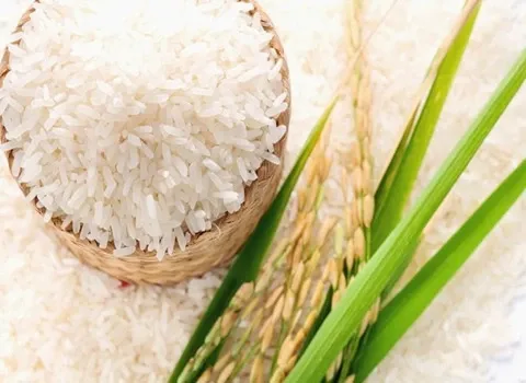 قیمت برنج هاشمی الک شده فله + خرید باور نکردنی